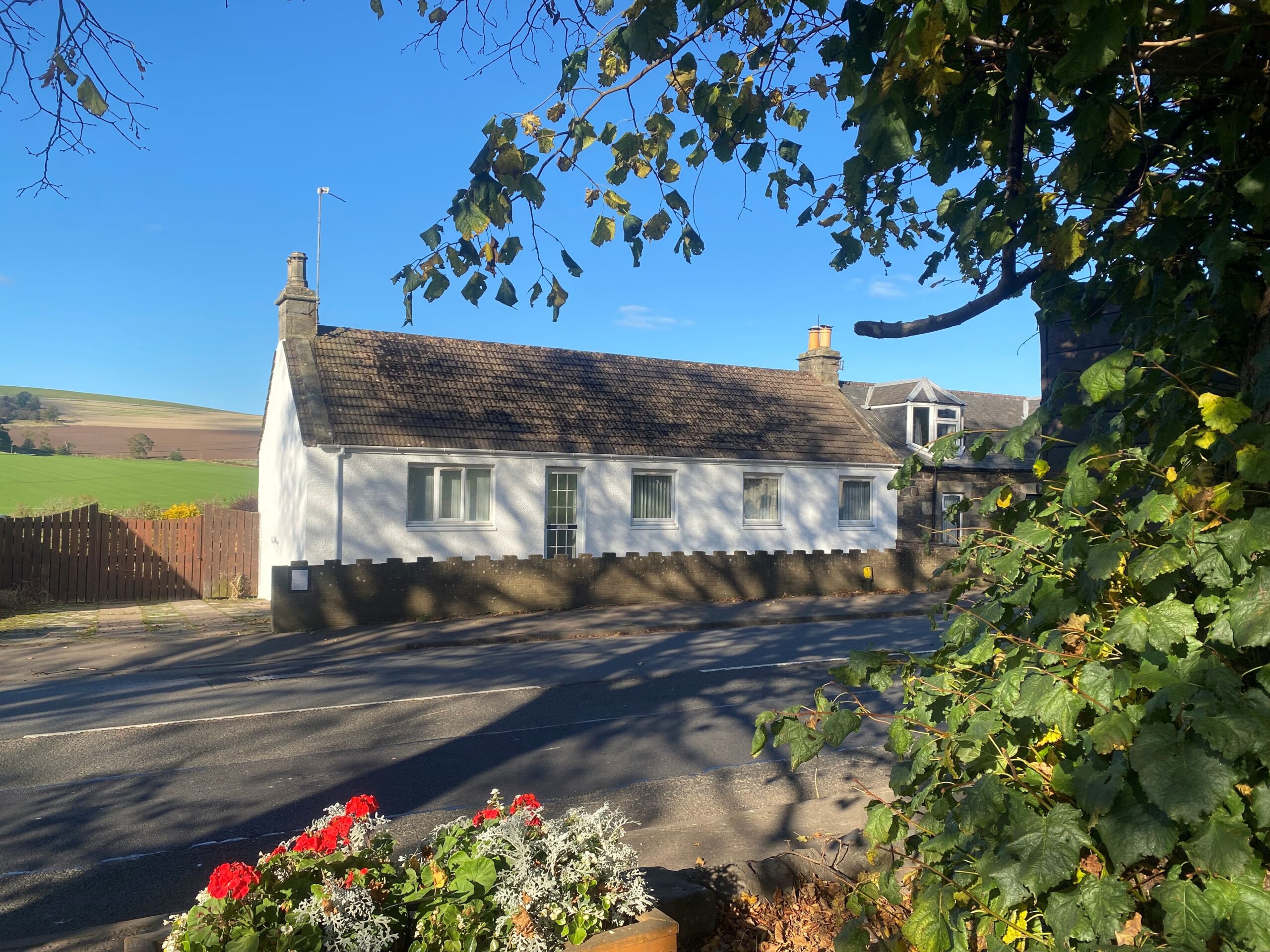 Main Street, Dairsie